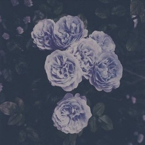 五月天丁香成人在线视频
