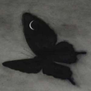 五月天丁香成人在线视频
