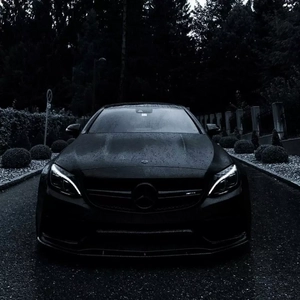 五月天丁香成人在线视频
